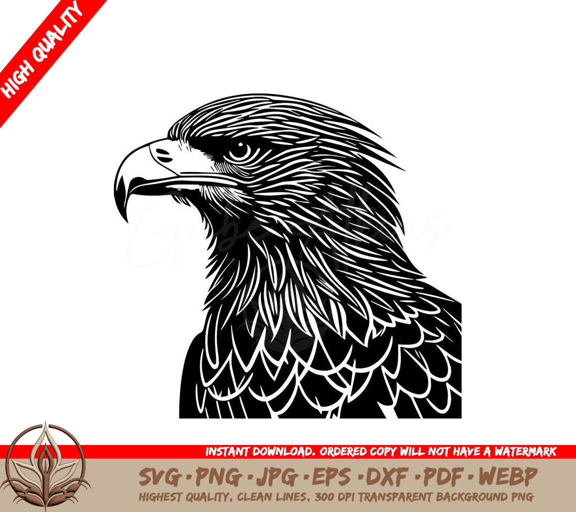 2D Line Art Eagle BW1053 SVG 