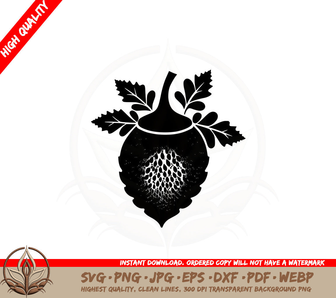 Acorn SVG PNG JPG AI PDF DXF EPS and WebP - Digital Download 