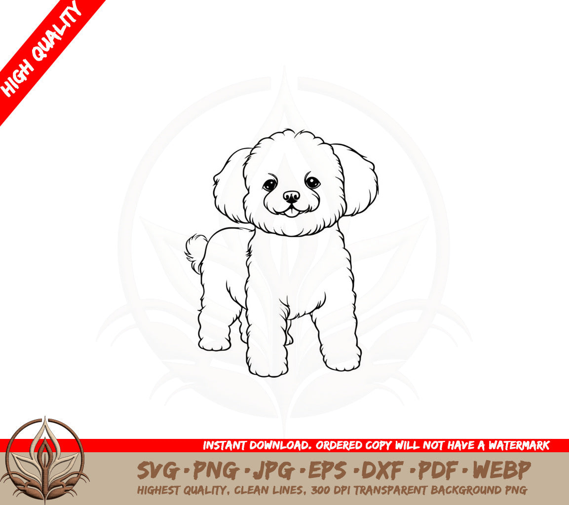 Adorable Bichon Frise SVG PNG JPG AI PDF DXF EPS  WebP - Digital Download 