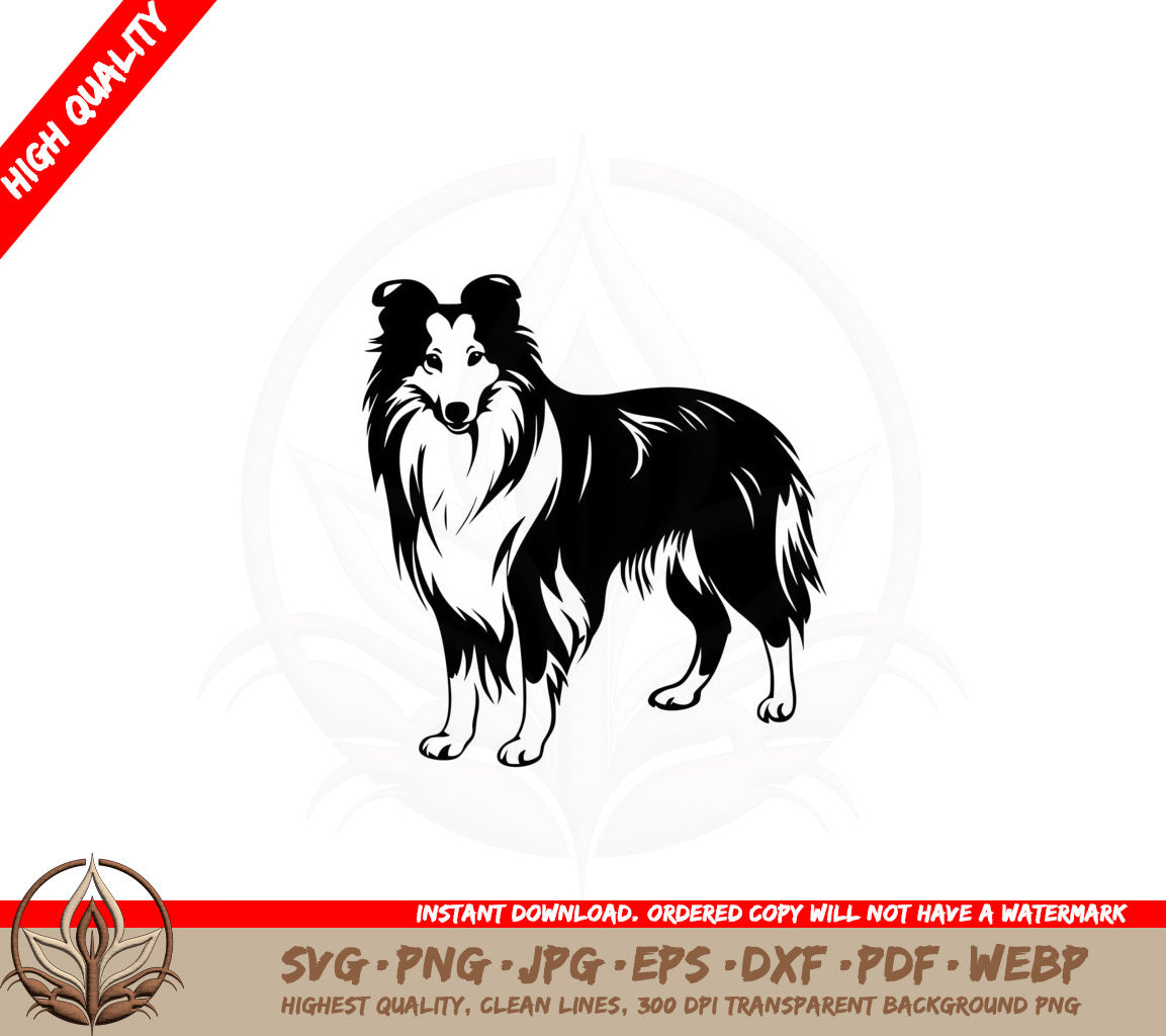 Adorable Collie SVG PNG JPG AI PDF DXF EPS and WebP - Digital Download 