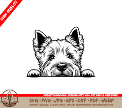 Alert Scottish Terrier SVG 
