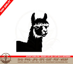 Alpaca Portrait SVG 