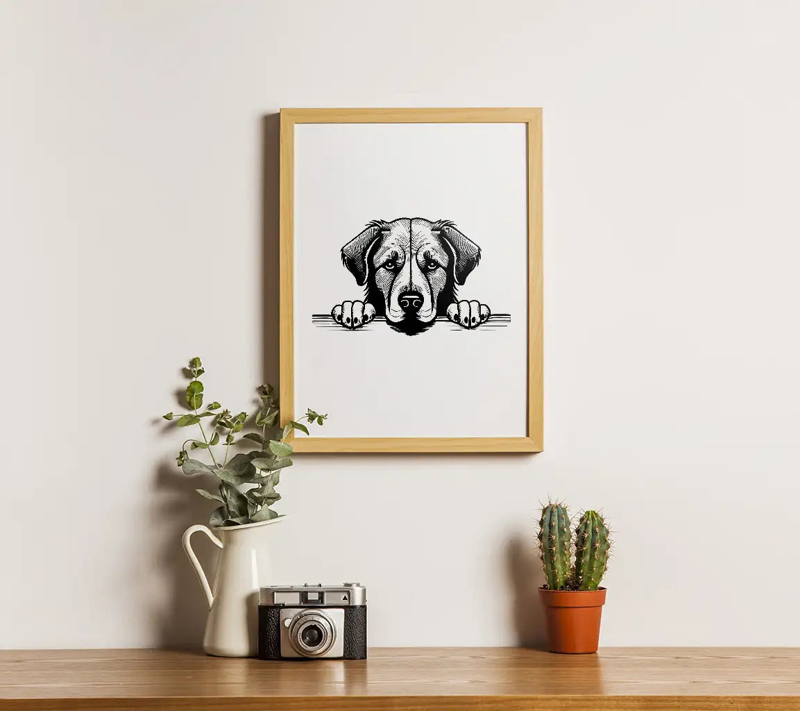 Anatolian Shepherd Dog Peeking Over Wall -  SVG SVG