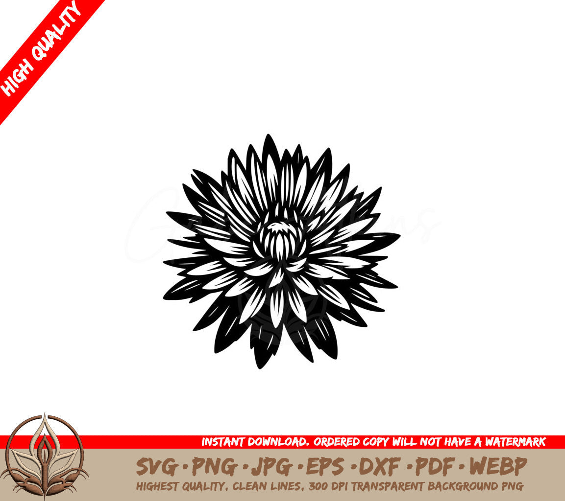 Aster Flower Power SVG  
