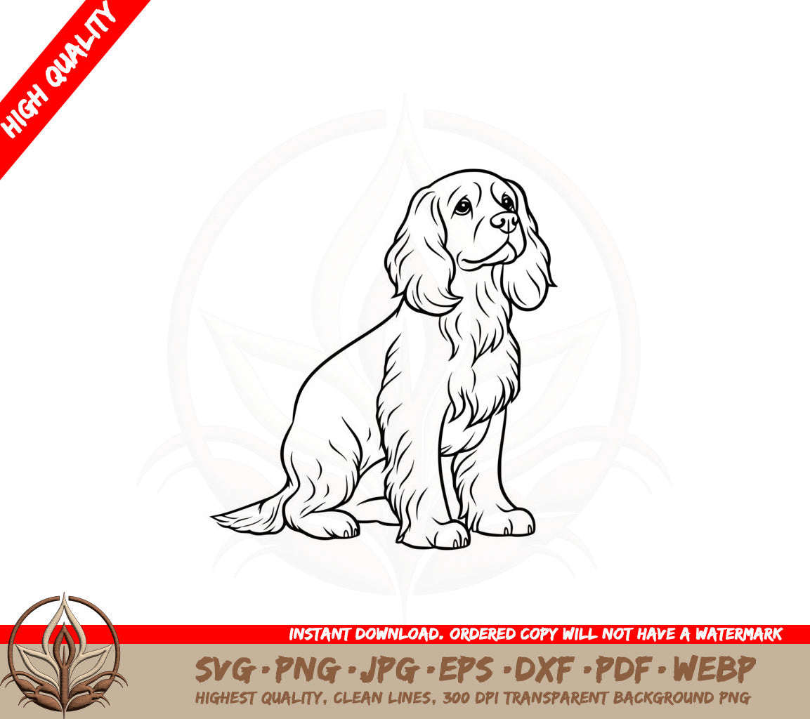 Attentive Cocker Spaniel SVG 