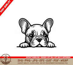 Attentive French Bulldog SVG 
