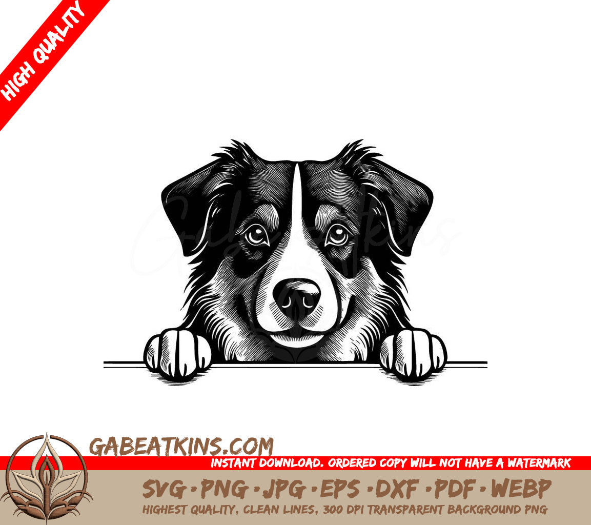 Australian Shepherd Peeking Over Wall -  Dog SVG SVG