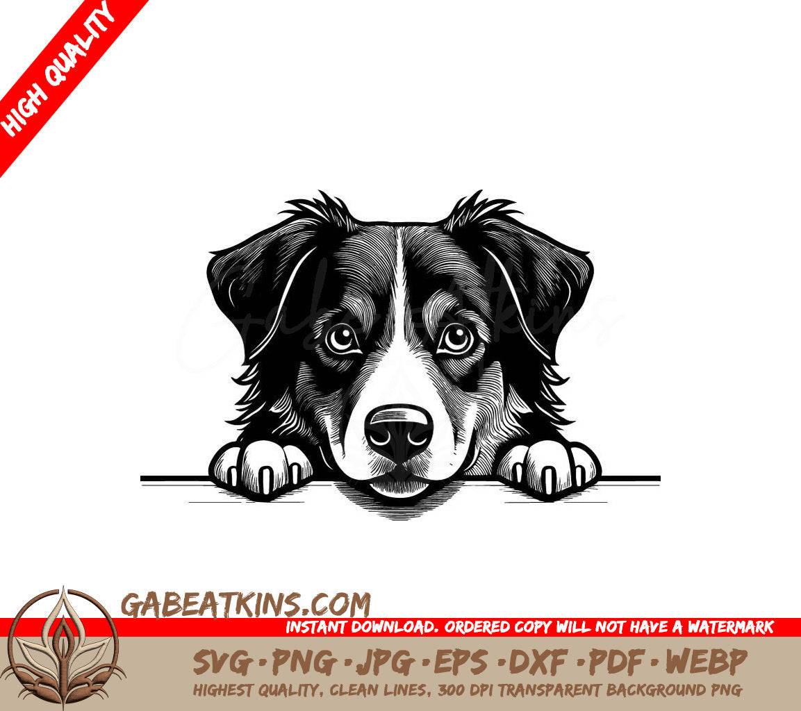  Australian Shepherd Peeking Over Wall SVG SVG