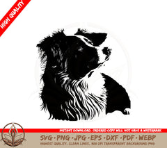 Australian Shepherd SVG - Digital Download 