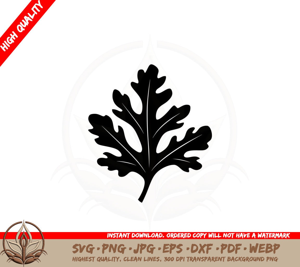 Autumn Leaf SVG Cut File  Leaf SVG for Cricut and Silhouette  Fall SVG Design for Crafters 