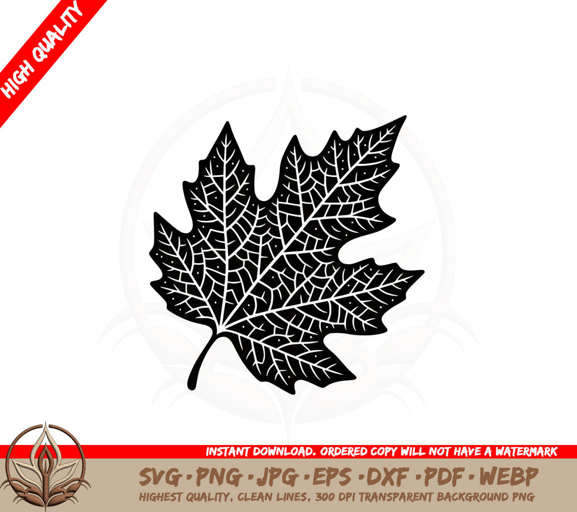 Autumn Leaf Detail SVG 