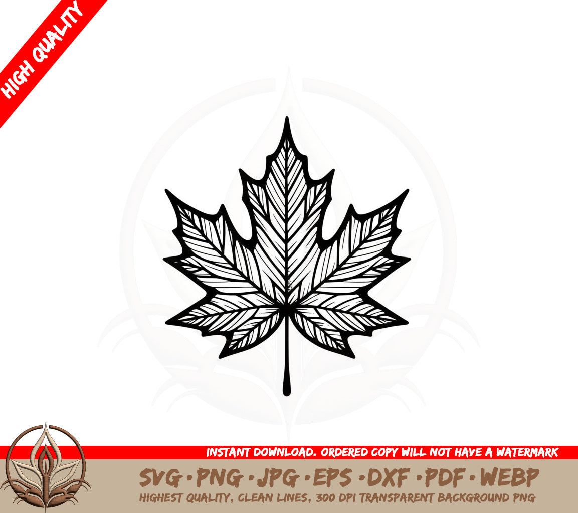 Autumn Maple Leaf SVG PNG JPG AI PDF DXF EPS and WebP Digital Download 