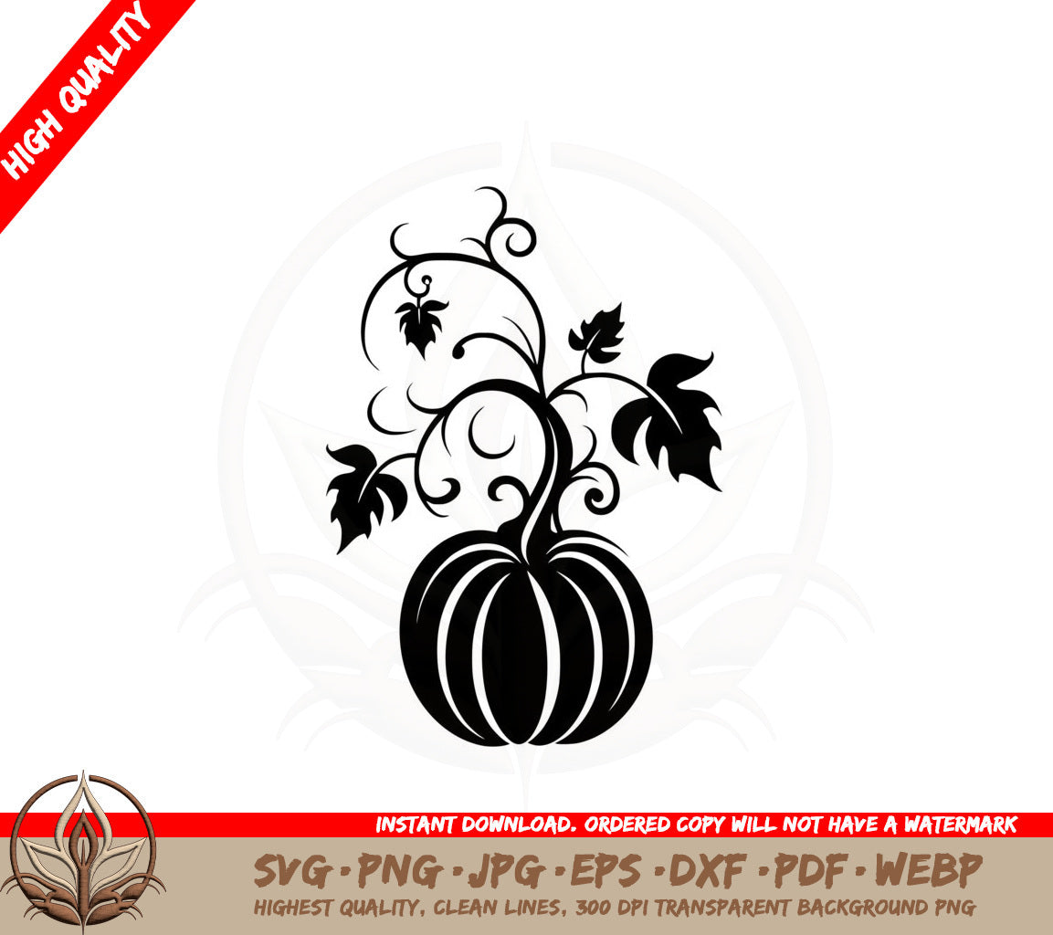 Autumn Pumpkin SVG 