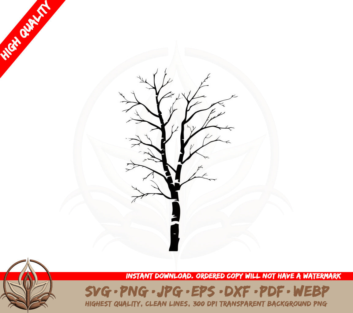 Bare Birch Tree Cut File SVG 