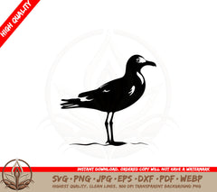 Beach Seagull SVG - Digital Download 