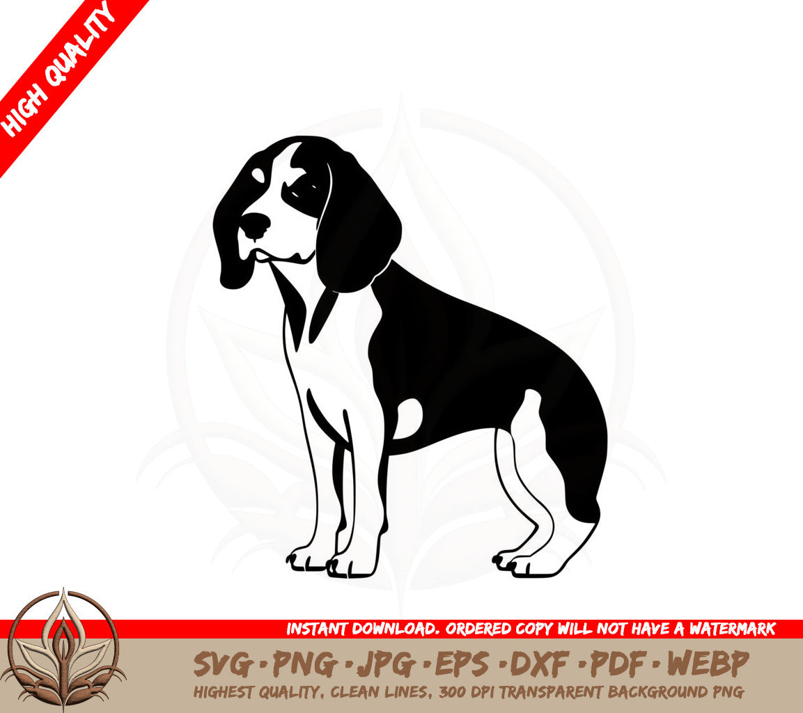 Beagle with Droopy Ears SVG