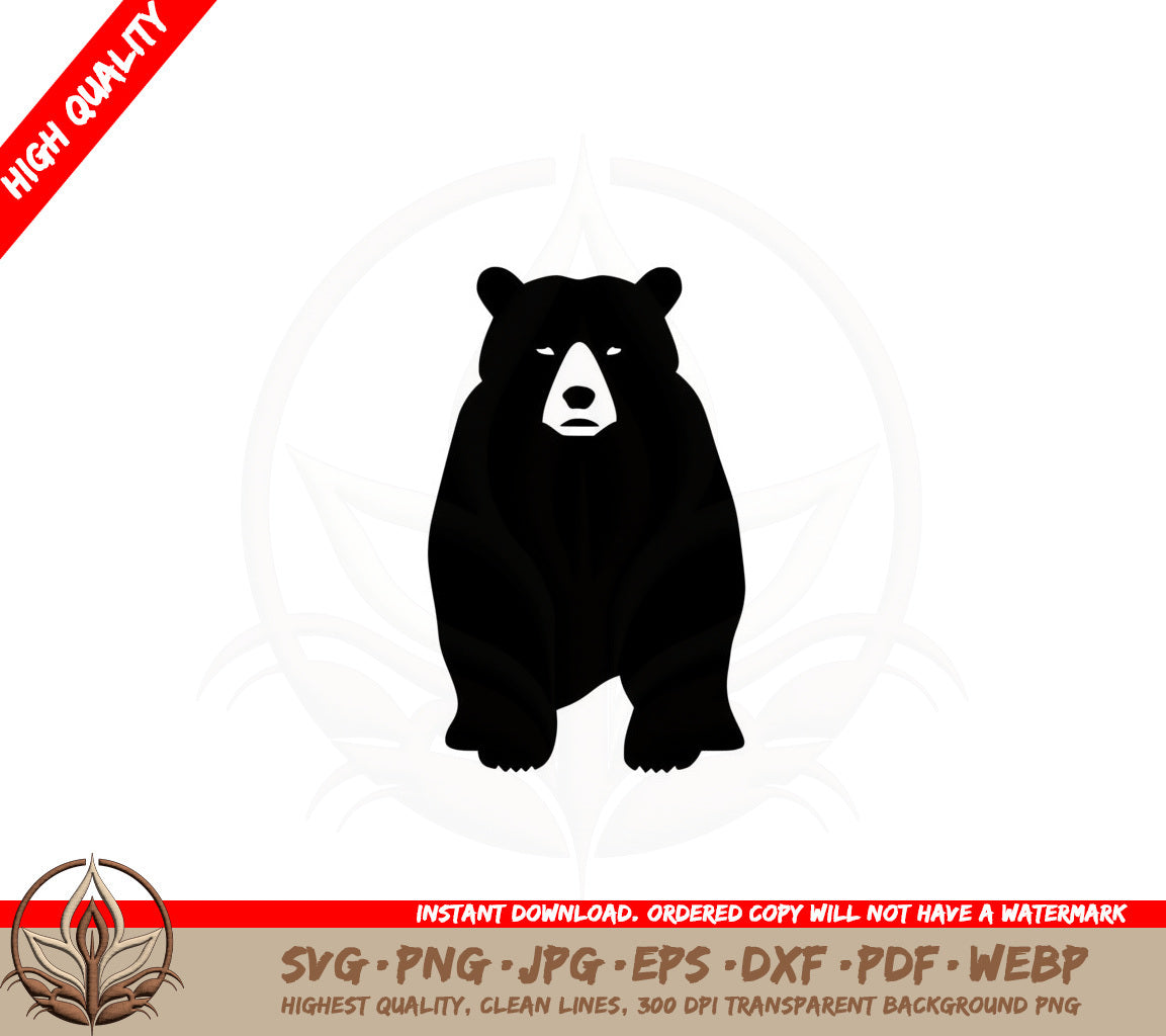 Bear SVG PNG JPG AI PDF DXF EPS  WebP Digital Cut File 