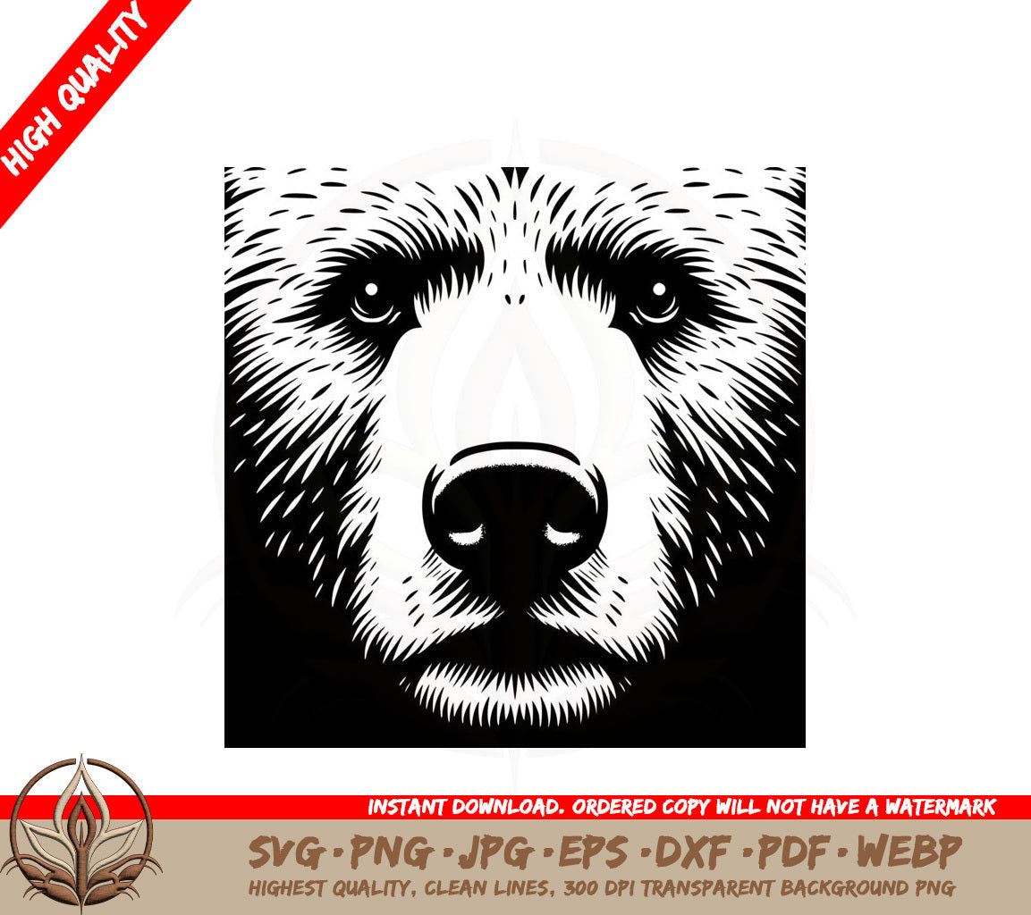 Bear Face Closeup SVG PNG JPG AI PDF DXF EPS and WebP Digital Download 