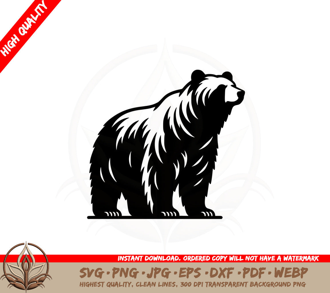 Bear Standing Tall SVG PNG JPG AI PDF DXF EPS WebP - Digital Download 