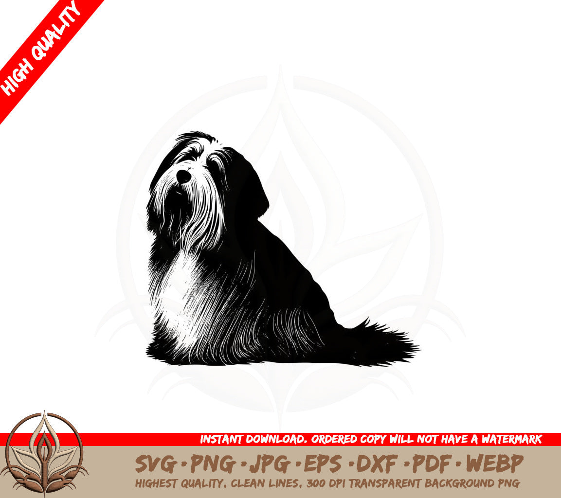 Bearded Collie SVG Cut File Download