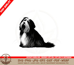 Bearded Collie SVG Cut File Download