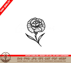 Beautiful Carnation SVG, PNG, JPG, AI, PDF, DXF, EPS and WebP - Digital Downloadable File 
