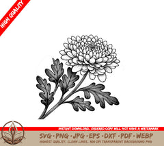 Beautiful Chrysanthemum Bloom SVG, PNG, JPG, AI, PDF, DXF, EPS  WebP Digital Download 
