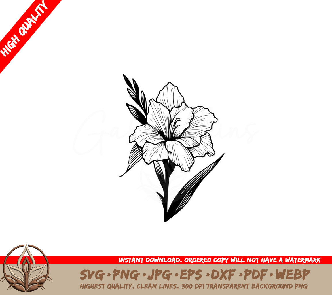 Beautiful Gladiolus SVG, PNG, JPG, AI, PDF, DXF, EPS and WebP Download 
