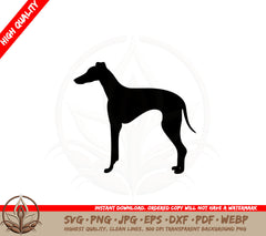 Beautiful Greyhound SVG - Digital Download 