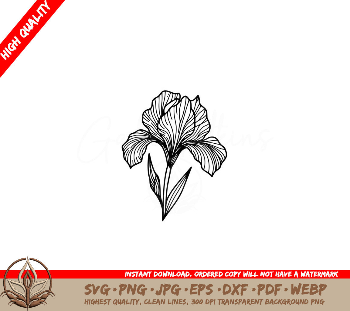 Beautiful Iris Flower SVG, PNG, JPG, AI, PDF, DXF, EPS and WebP - Digital Download 
