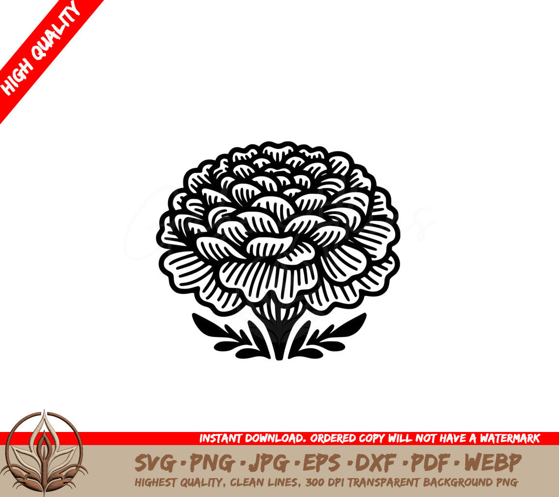 Beautiful Marigold Bloom SVG, PNG, JPG, AI, PDF, DXF, EPS and WebP Digital Download 
