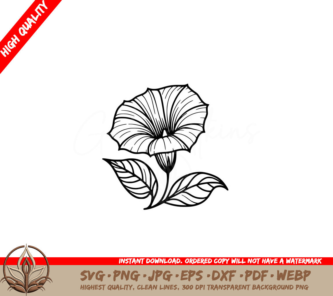 Beautiful Morning Glory SVG, PNG, JPG, AI, PDF, DXF, EPS and WebP Digital Download 
