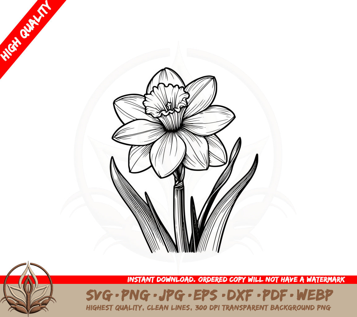 Beautiful Narcissus SVG PNG JPG AI PDF DXF EPS and WebP - Digital Download 