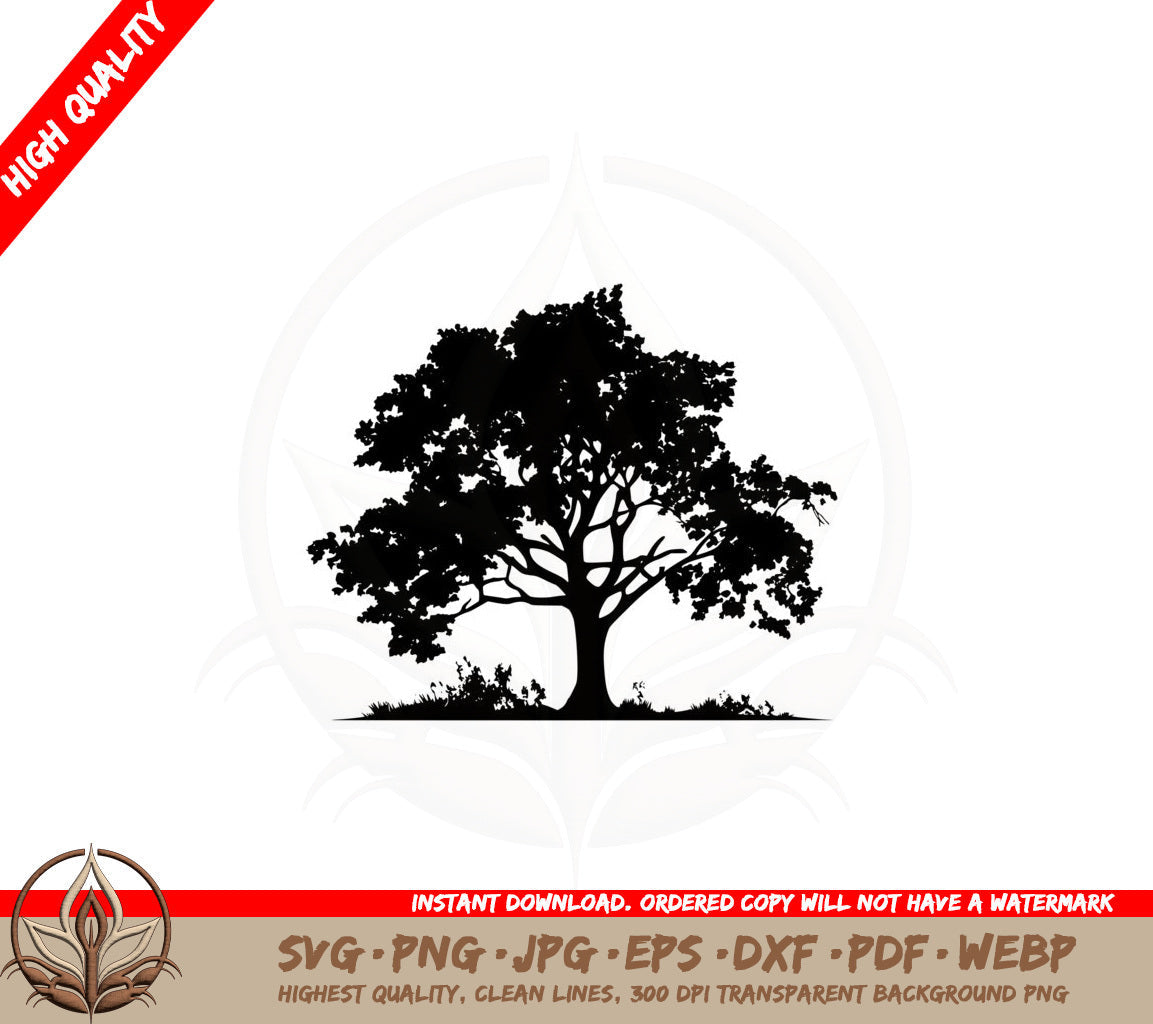 Beautiful Oak Tree SVG PNG JPG AI PDF DXF EPS  WebP Digital Download 