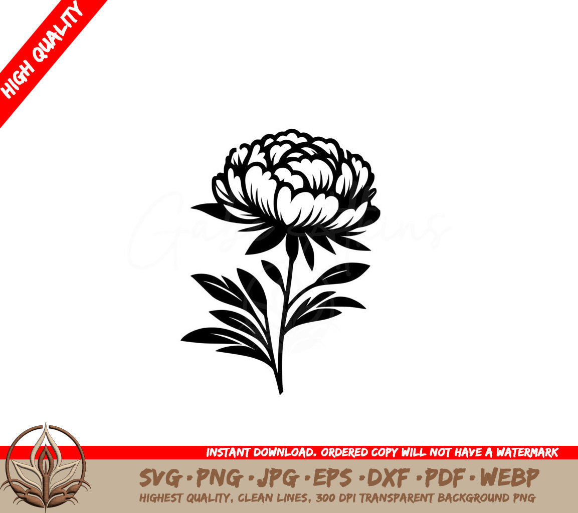 Beautiful Peony Blossom SVG PNG JPG AI PDF DXF EPS WebP Digital Download 
