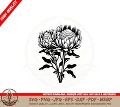 Beautiful Protea Flowers SVG PNG JPG AI PDF DXF EPS and WebP - Digital Download 