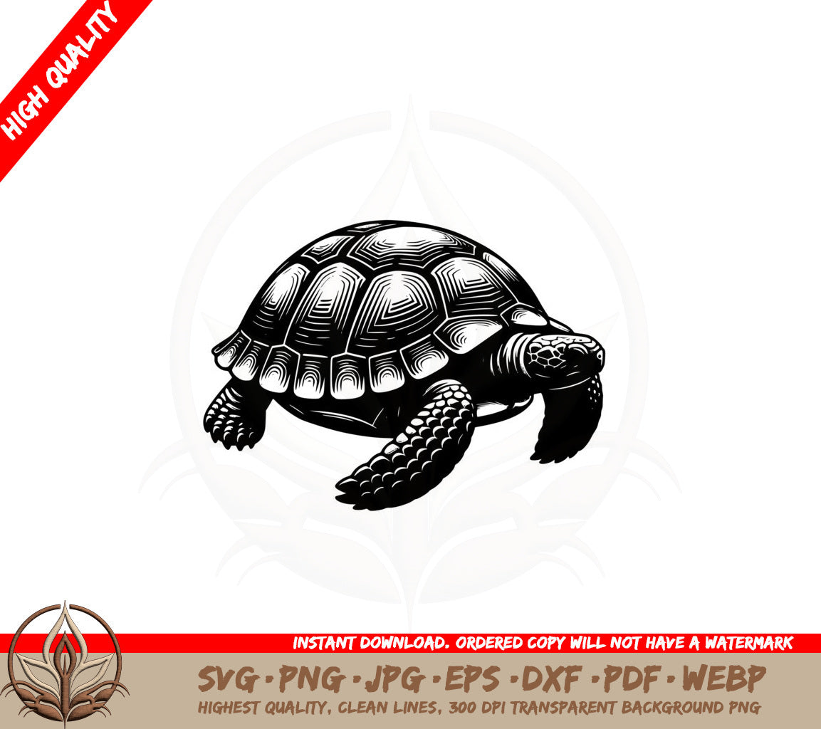 Beautiful Turtle SVG PNG JPG AI PDF DXF EPS and WebP - Digital Download 