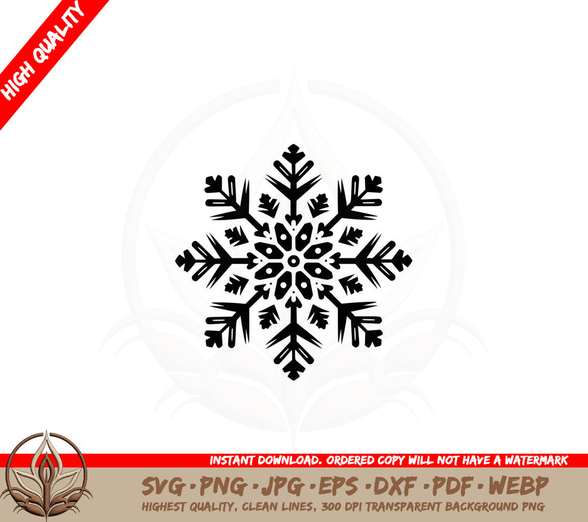 Beautiful Winter Snowflake SVG PNG JPG AI PDF DXF EPS WebP 