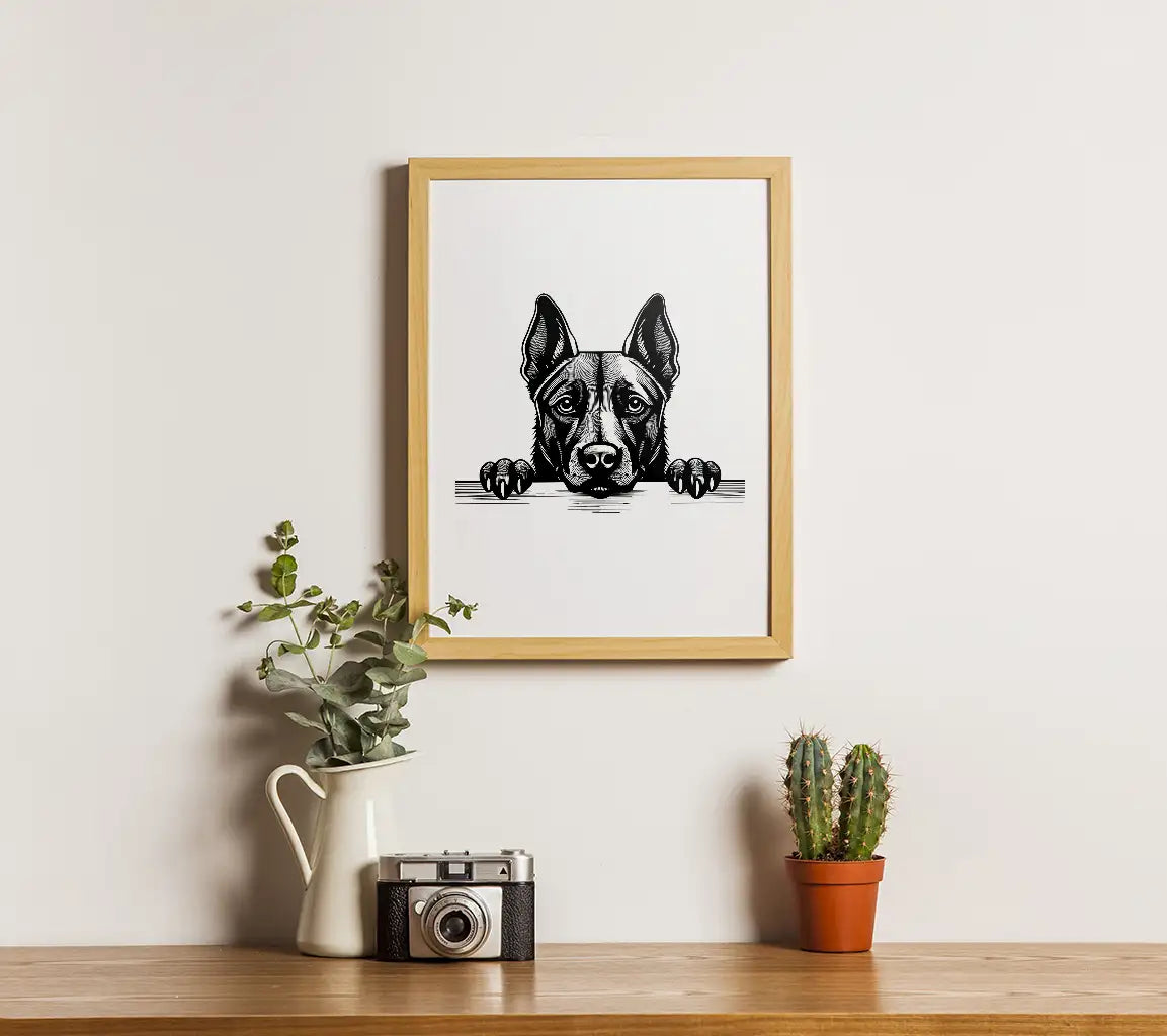 Belgian Tervuren Dog Looking Over Wall -  SVG SVG