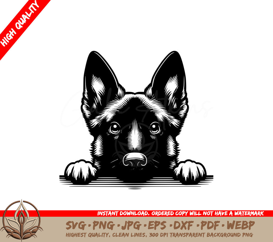 Belgian Malinois Puppy Eyes SVG 
