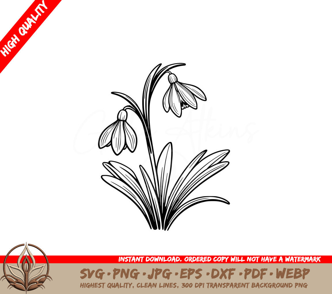 Bell Snowdrop Flowers SVG, PNG, JPG, AI, PDF, DXF, EPS, WebP - Digital Download 
