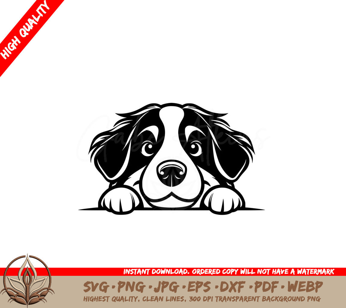 Bernese Mountain Dog Buddy SVG - Digital Download 
