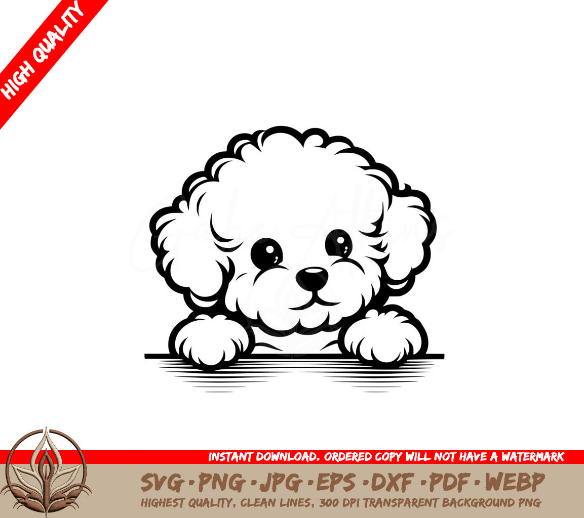 Bichon Peek Surprise SVG Cut File 
