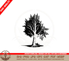 Birch Tree SVG PNG JPG AI PDF DXF EPS and WebP - Digital Download 