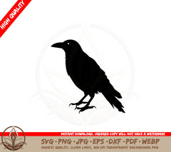 Black Crow SVG PNG JPG AI PDF DXF EPS and WebP - Digital Download 