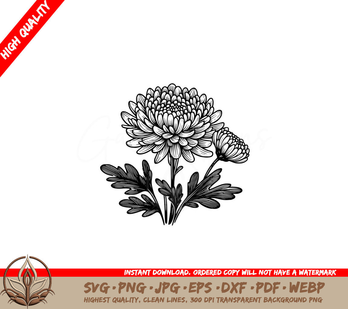 Blossoming Chrysanthemums SVG File