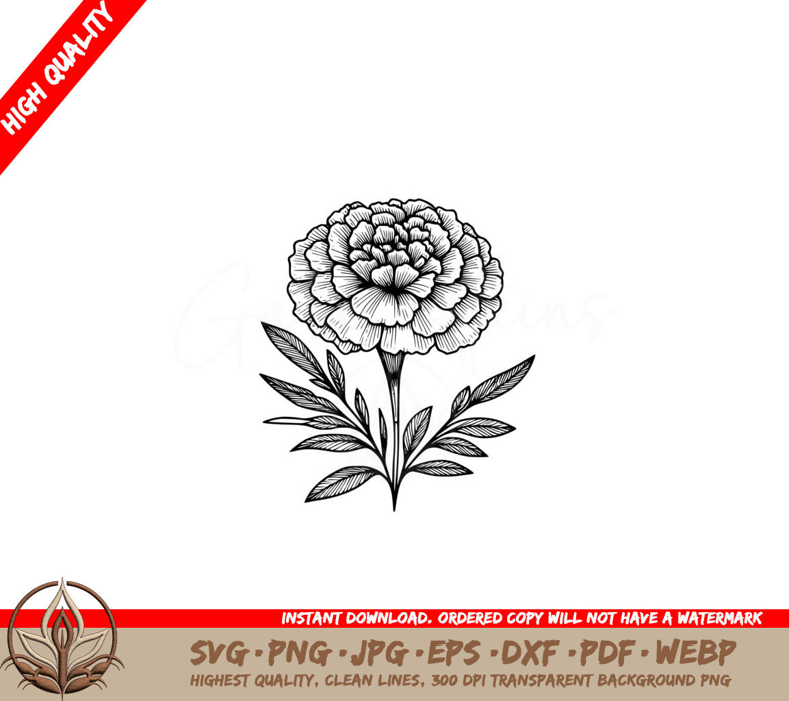 Blossoming Marigold Flower SVG