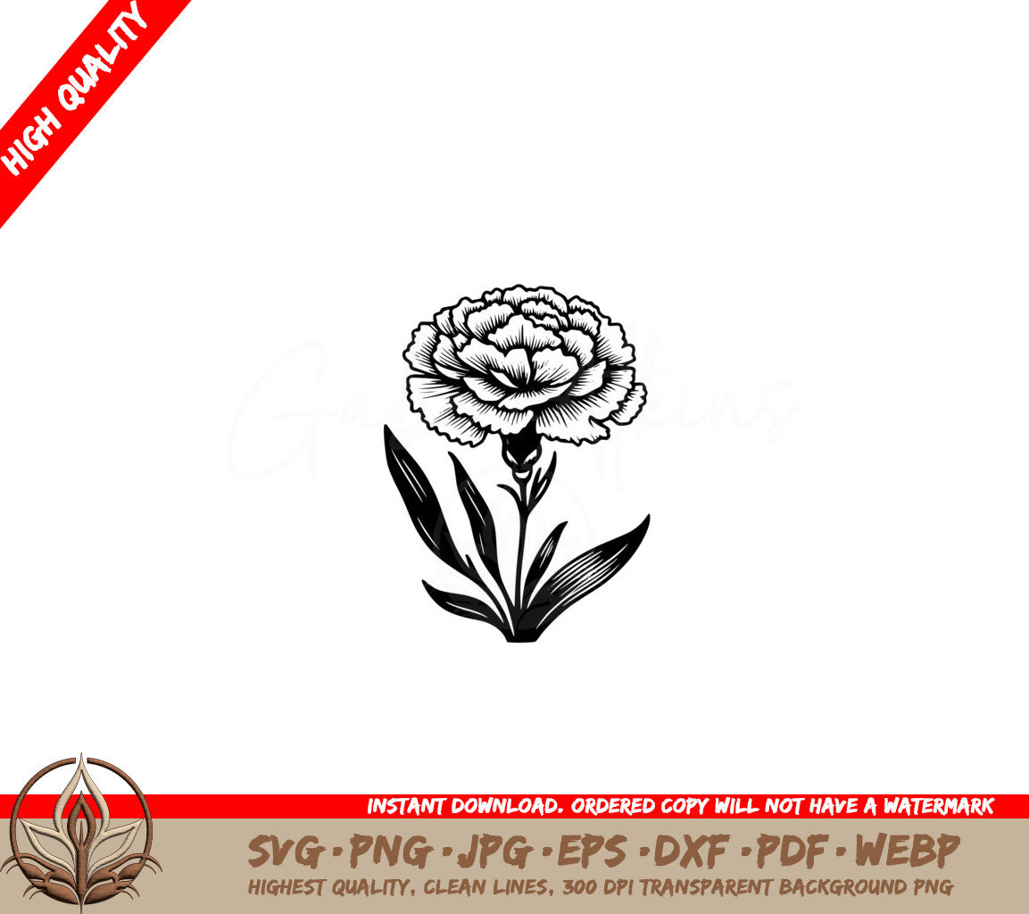 Blushing Carnation Digital Product - SVG