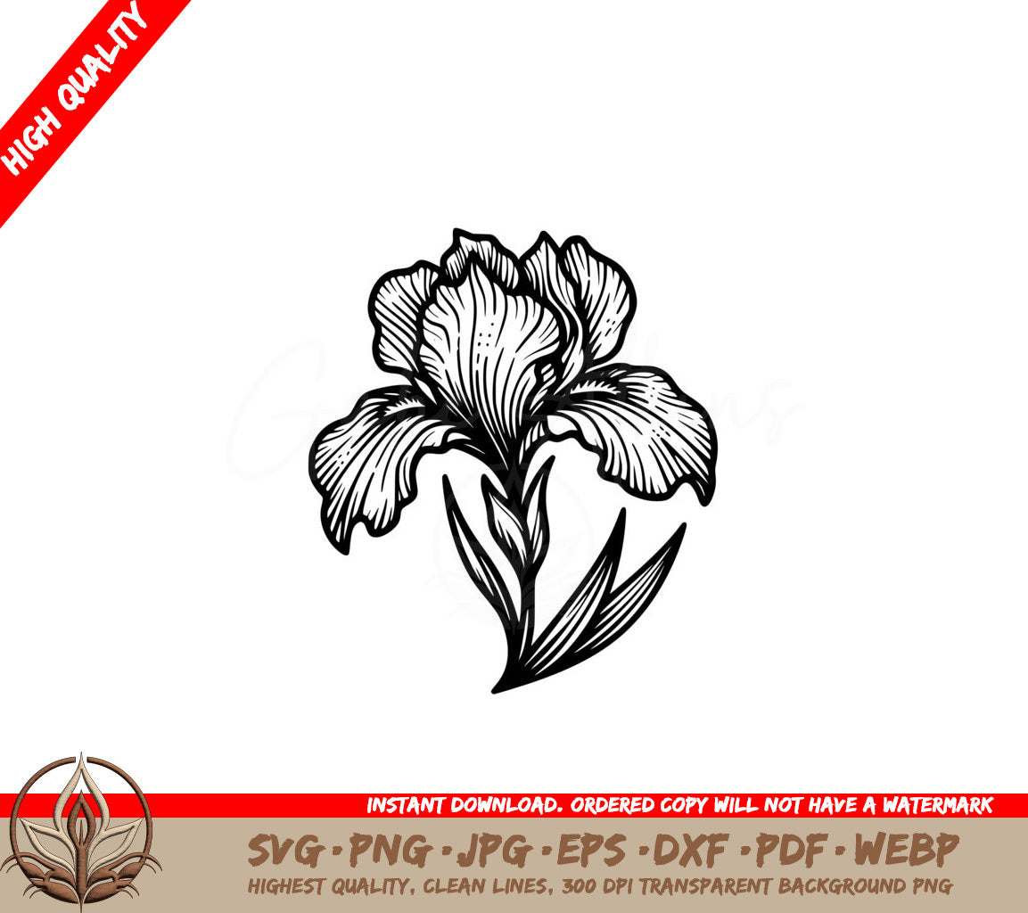 Bold Iris Digital Product SVG