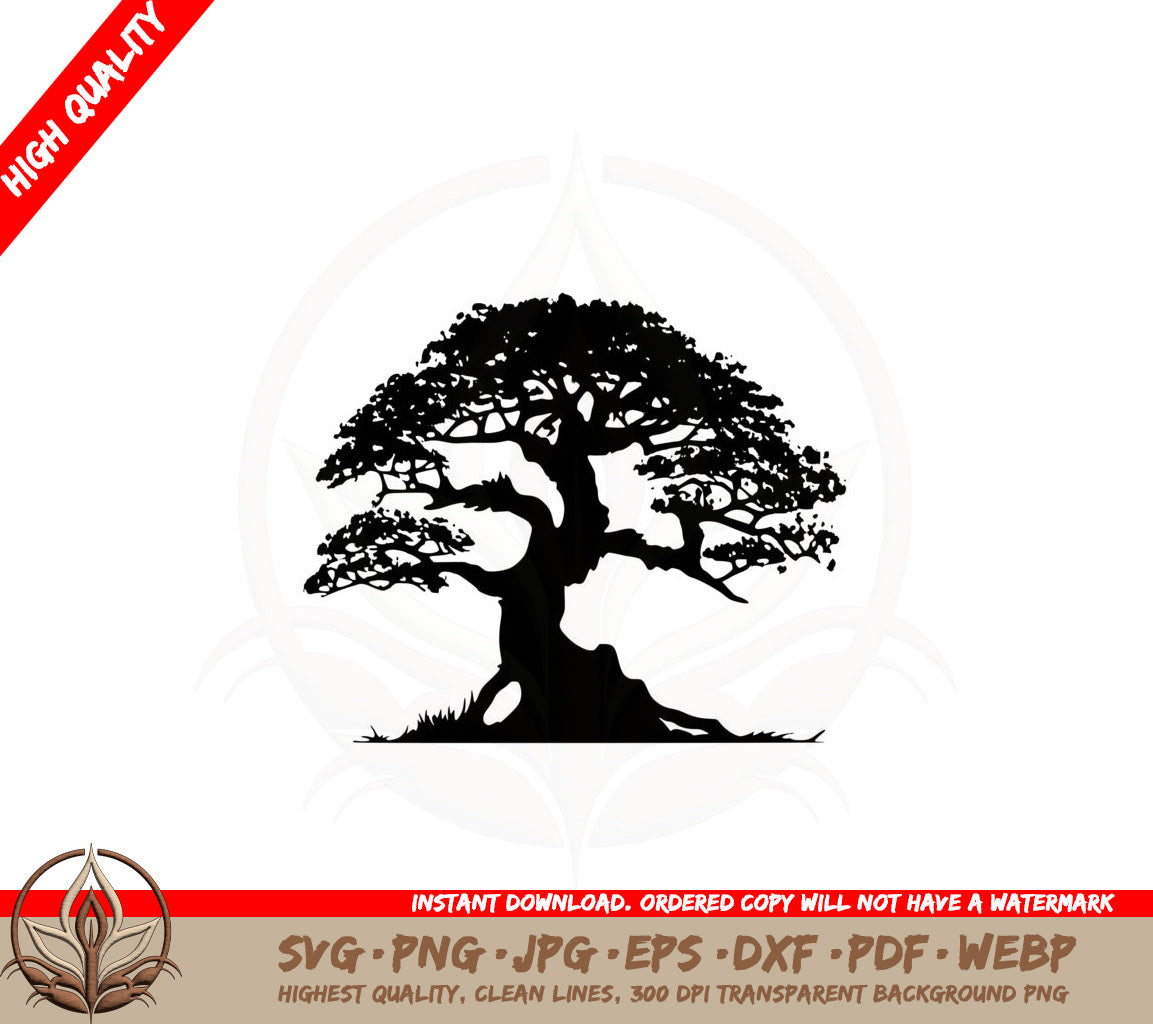 Bonsai Tree SVG 